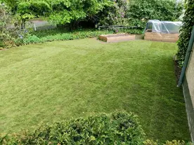 Een grasmat die wordt aangelegd, een voorbeeld van tuinwerken.