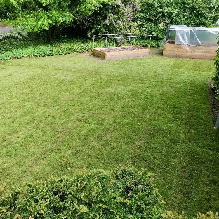 Aangelegde grasmat in een tuin